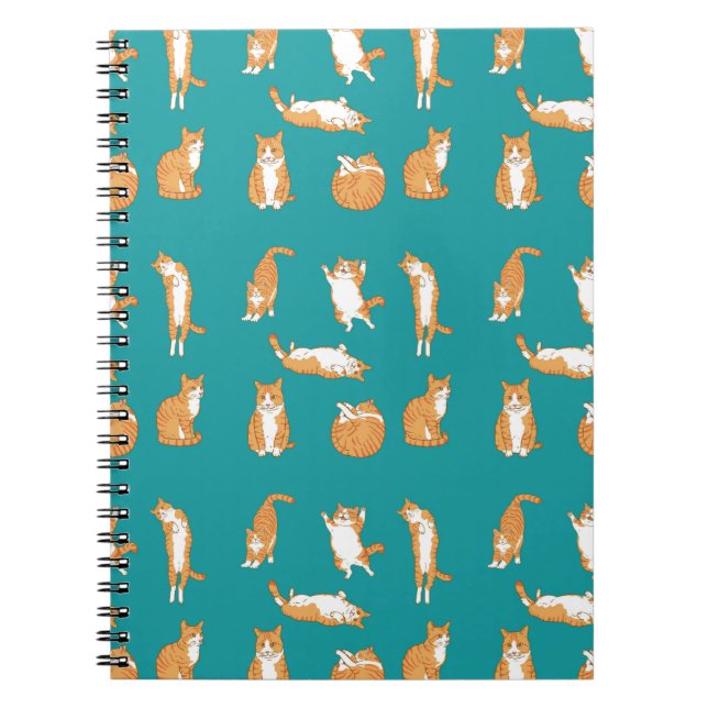 Orange Cats Funny Notebook (Front)
