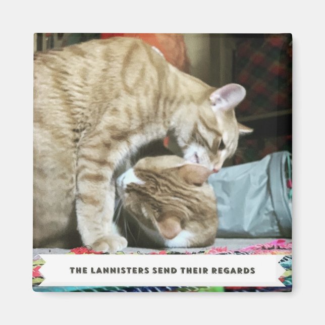 Orange Cats Magnet (Front)