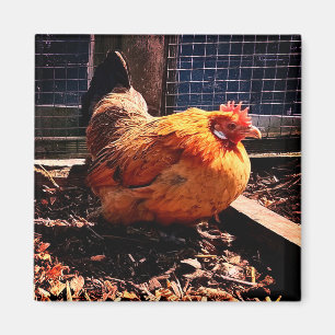 Orange chicken magnet