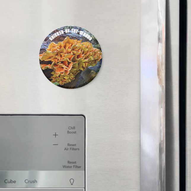 Orange Chicken-of-the-Woods Mushroom Magnet (In Situ (Fridge))