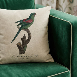 Orange-Chinned Parakeet, Brotogeris jugularis Cushion
