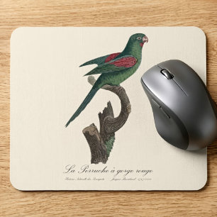 Orange-Chinned Parakeet, Brotogeris jugularis Mouse Mat