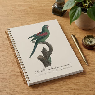 Orange-Chinned Parakeet, Brotogeris jugularis Planner