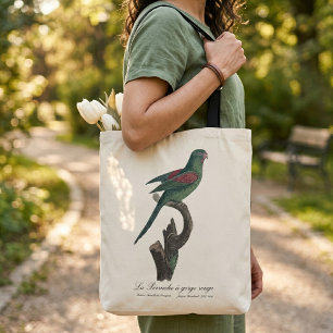 Orange-Chinned Parakeet, Brotogeris jugularis Tote Bag