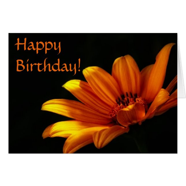 Orange Chrysanthemum Birthday Card (Front Horizontal)