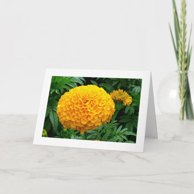 Orange Chrysanthemum Card (Front)