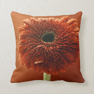 Orange chrysanthemum cushion