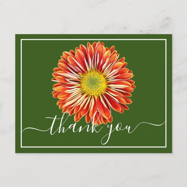 Orange Chrysanthemum Green Background Thank You Postcard (Front)