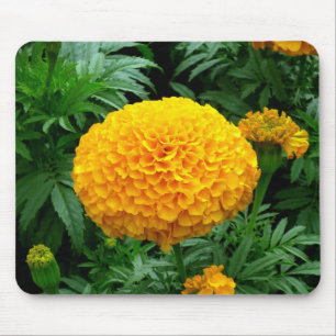 Orange Chrysanthemum Mouse Mat