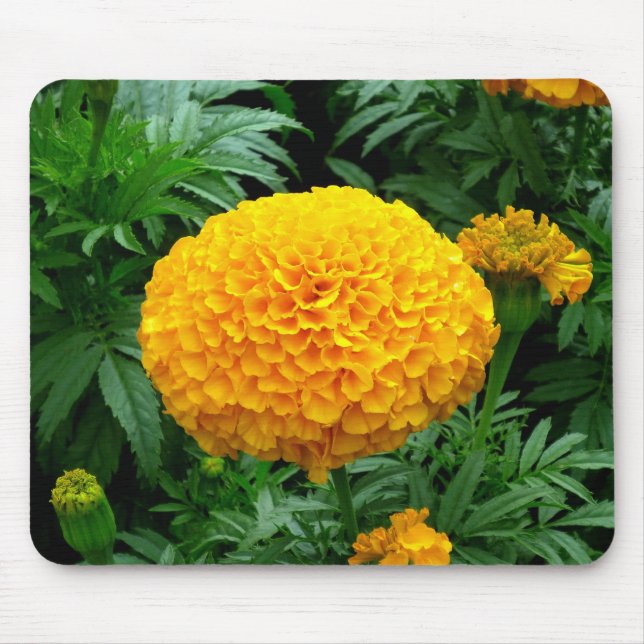 Orange Chrysanthemum Mouse Mat (Front)