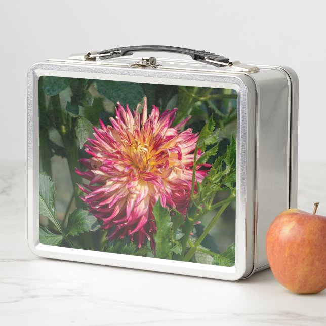 Orange Chrysanthemum Photography, Canadian Beauty Metal Lunch Box (In Situ)