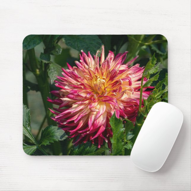 Orange Chrysanthemum Photography, Canadian Flower Mouse Mat (With Mouse)