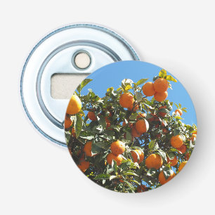 orange, citrus, fruit, fresh, slice, food, ripe, bottle opener