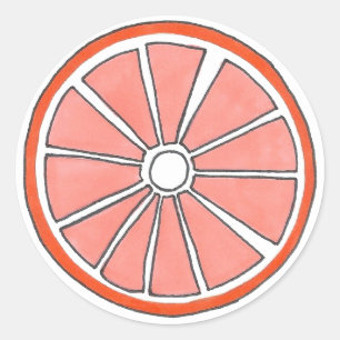 Orange Citrus Fruit Slice Stickers