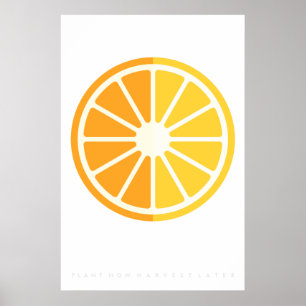 Orange Citrus Retro Fruit Poster 60's 70's Quote