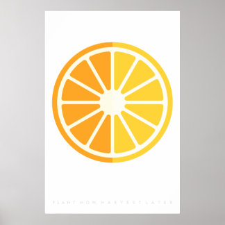 Orange Citrus Retro Fruit Poster 60's 70's Quote