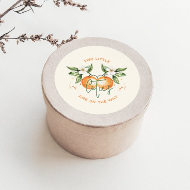 Orange Citrus Two Little Cuties Baby Shower Favour Classic Round Sticker (Creator Uploaded)