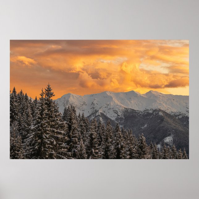 Orange clouds above mountains and spruce forest poster (Front)