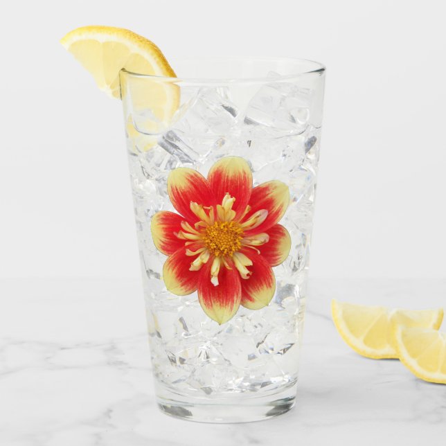 Orange Collarette Dahlia Bloom Floral Glass (Front Ice)