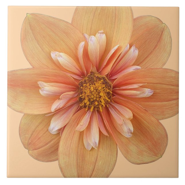 Orange Collarette Dahlia Floral Tile (Front)