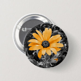 Orange Colour Splash African Daisy Photograph 6 Cm Round Badge