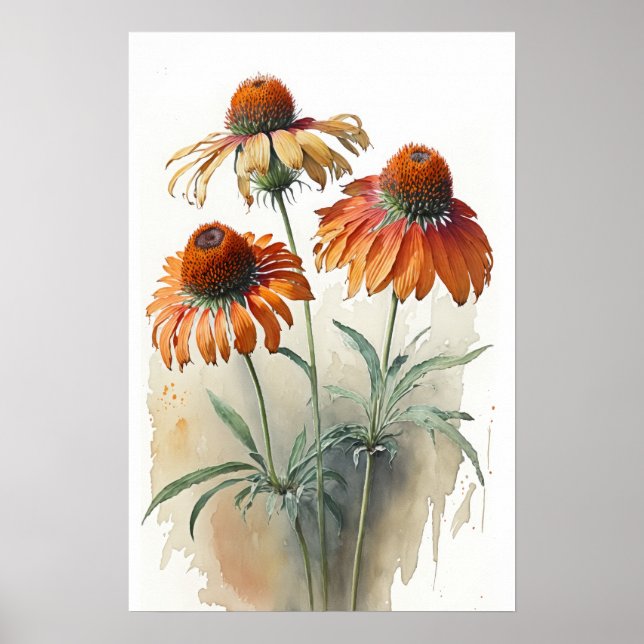 Orange Coneflowers Art Print Poster (Front)