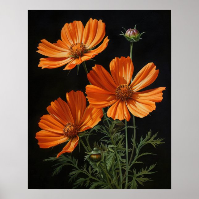 Orange Cosmos Flowers Art Print Poster (Front)