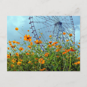 Orange Cosmos Flowers & Ferris Wheel: Tokyo Postca Postcard
