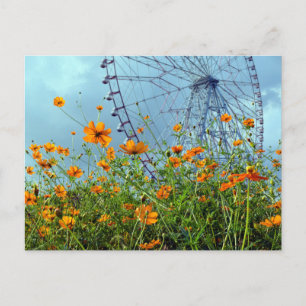 Orange Cosmos Flowers & Ferris Wheel: Tokyo Postca Postcard