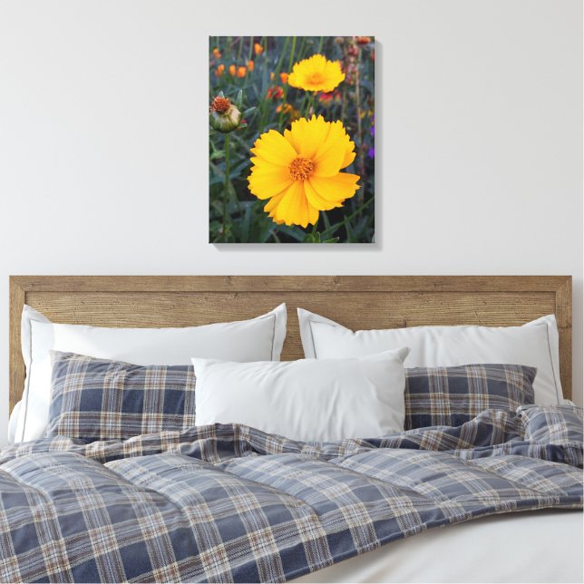 Orange Cosmos In The Foreground Photograph Canvas Print (Insitu(Bedroom))
