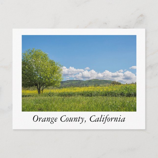 Orange County, California Postcard (Front)