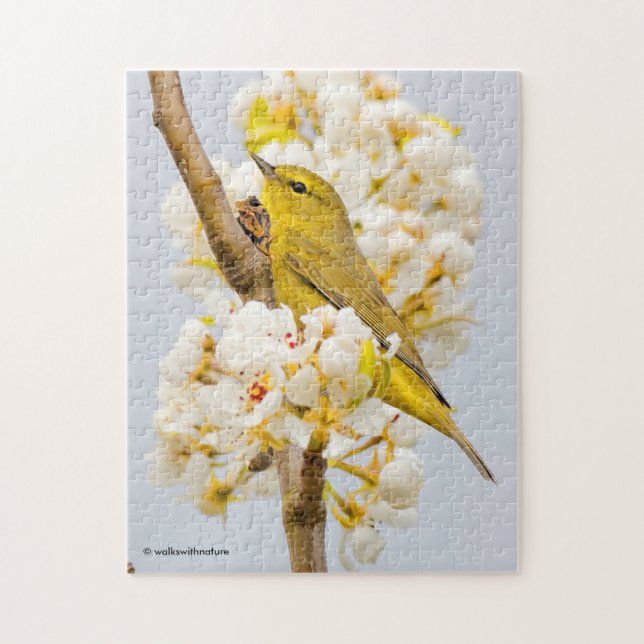 Orange-Crowned Warbler Amid the Cherry Blossoms Jigsaw Puzzle (Vertical)