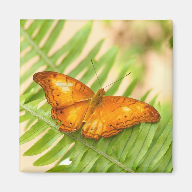 Orange Cruiser Butterfly Magnet (Front)