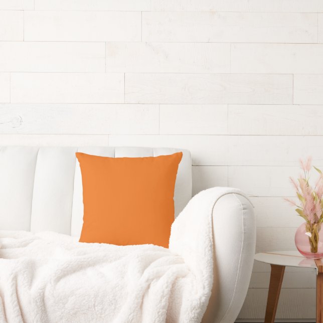 Orange Cushion (Couch)