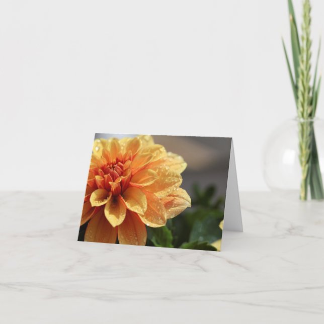 Orange Dahlia Card (Front)