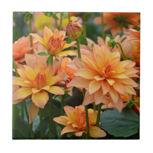 Orange dahlia flower garden tile