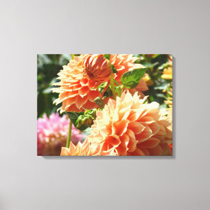 Orange Dahlia Flowers Canvas Photography prints