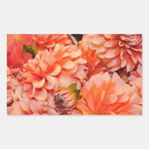 Orange dahlia flowers rectangular sticker