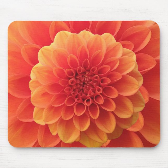 Orange Dahlia Mouse Mat (Front)