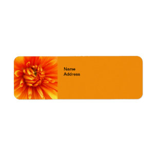 Orange Dahlia Return Address Labels