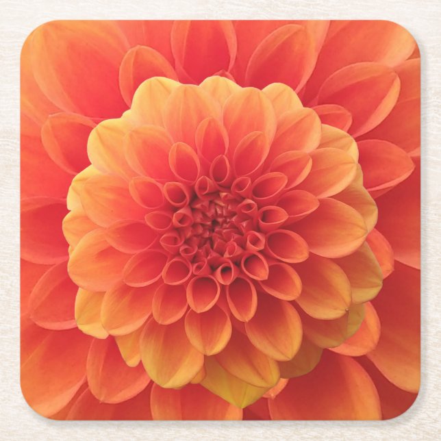 Orange Dahlia Square Paper Coaster (Front)