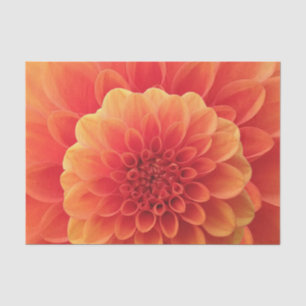 Orange Dahlia Tissue Paper