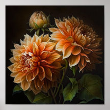 Orange Dahlias Flower Art Print Poster