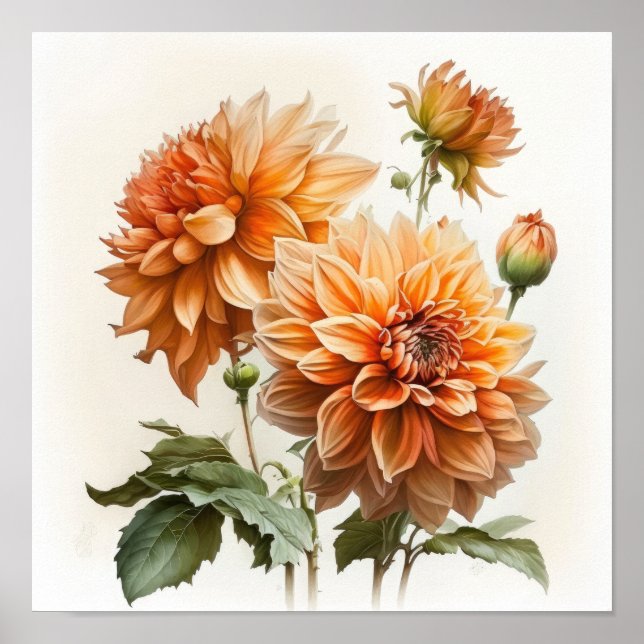 Orange Dahlias Flower Art Print Poster (Front)