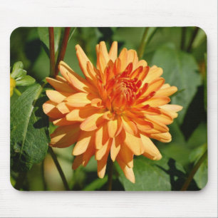 Orange Dahlie mit Knospe und Blätter Mouse Mat