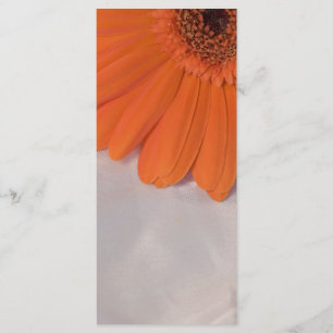 Orange Daisy and White Satin Wedding Program Programme