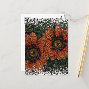 Orange Daisy Balls Postcard