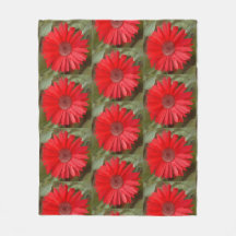 Orange Daisy Botanical Floral