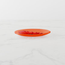 Orange Daisy Botanical Glass