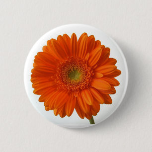 Orange Daisy Button